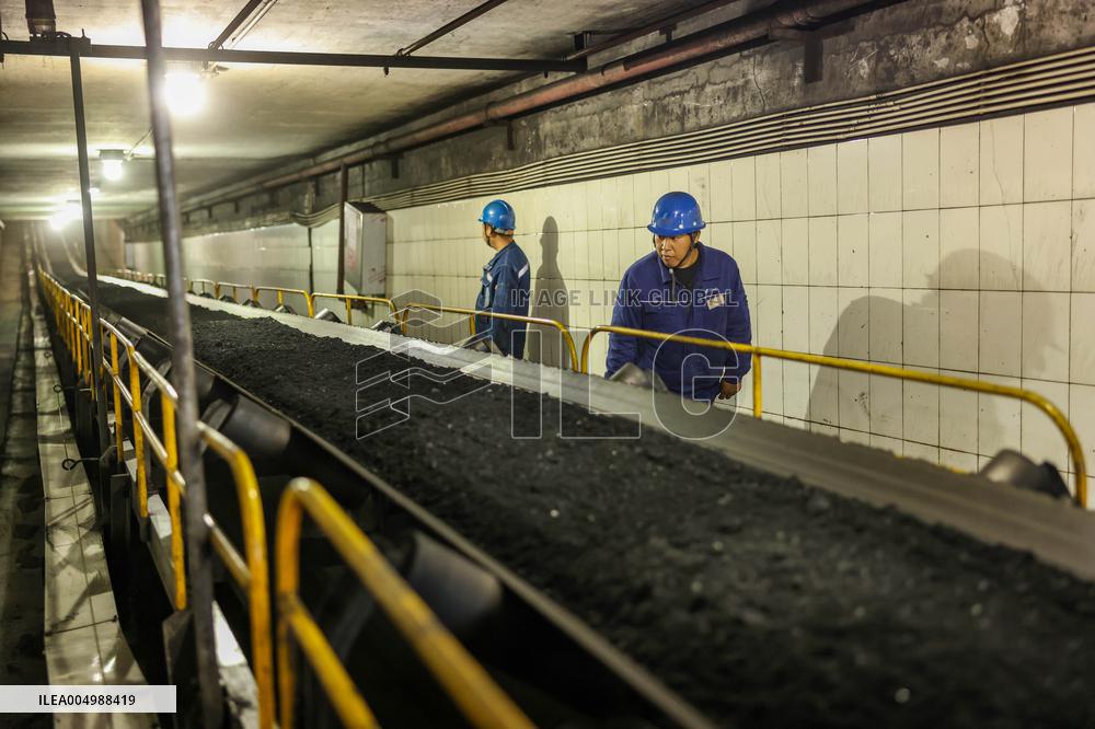 Thermal Coal Storage and Transportation