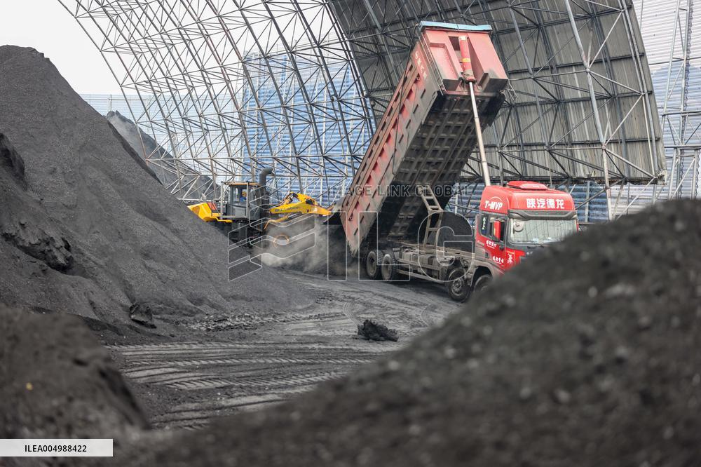 Thermal Coal Storage and Transportation