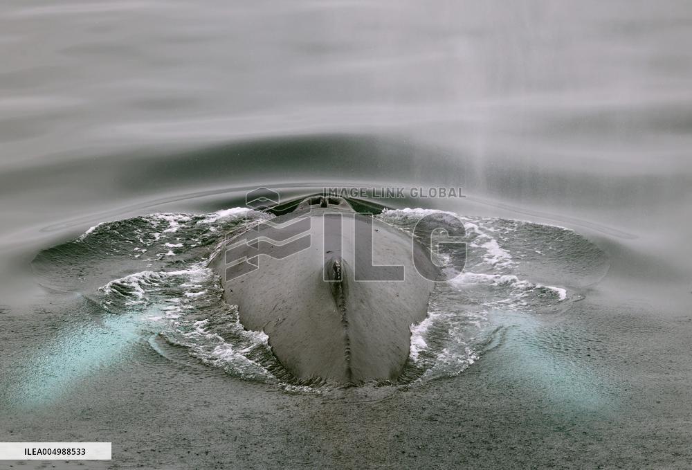 Illustration Antarctica Views