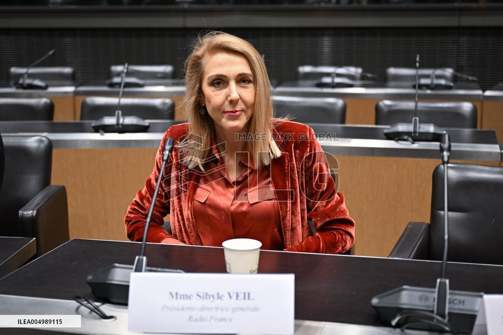 Commission of Inquiry on Public Broadcasting - Paris