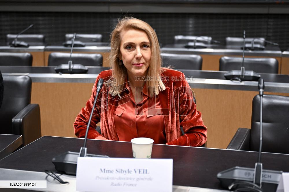 Commission of Inquiry on Public Broadcasting - Paris