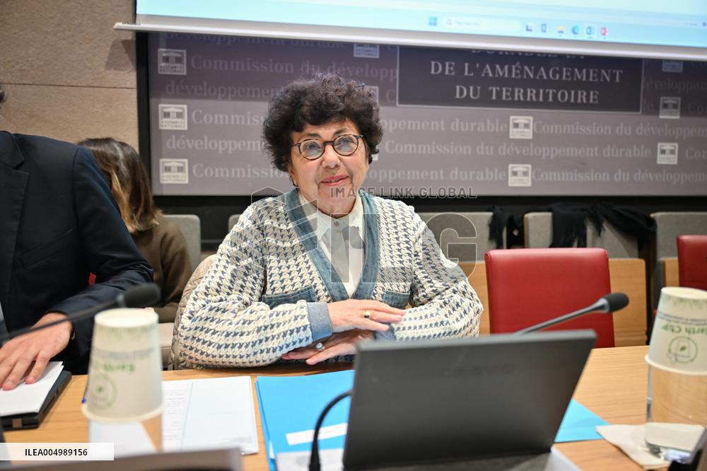 Hearing of Monique Barbut on COP 30 at the National Assembly - Paris