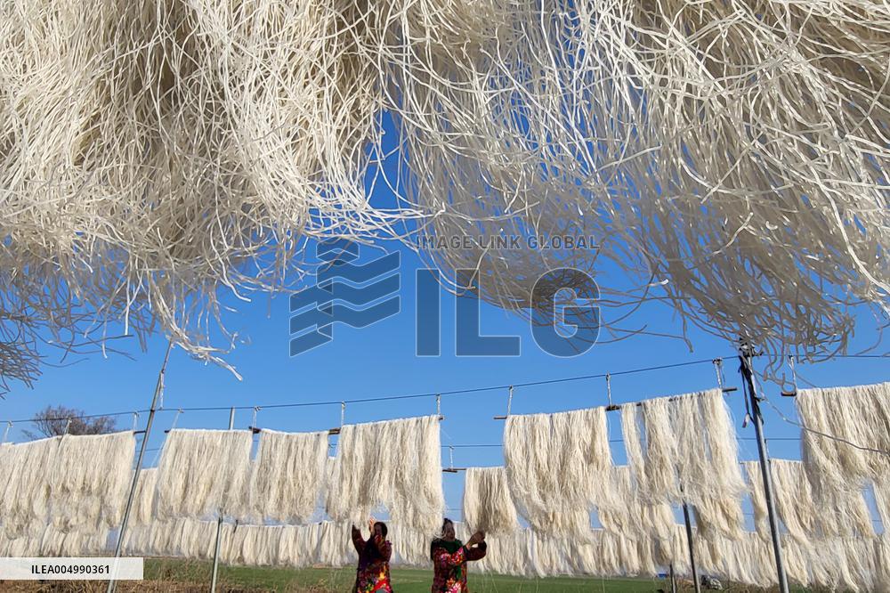 Sweet Potato Industry