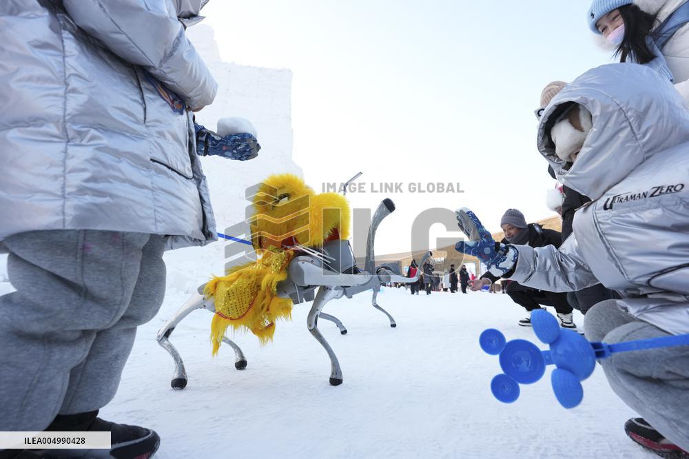 Harbin Ice-Snow World - Harbin