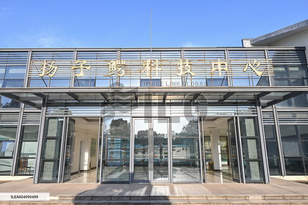 Chinese Alligator National Nature Reserve in Xuancheng