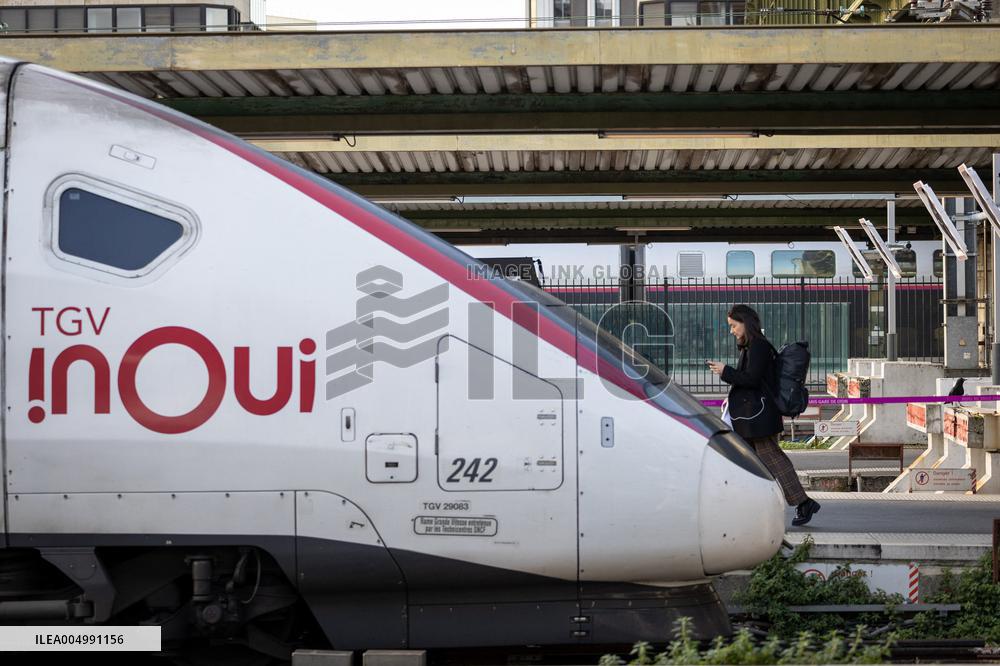 Illustration of the Gare de Lyon during the Christmas holiday departures - Paris AJ