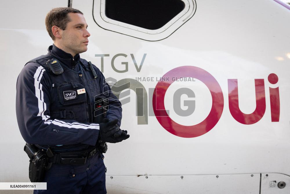 Illustration of the Gare de Lyon during the Christmas holiday departures - Paris AJ