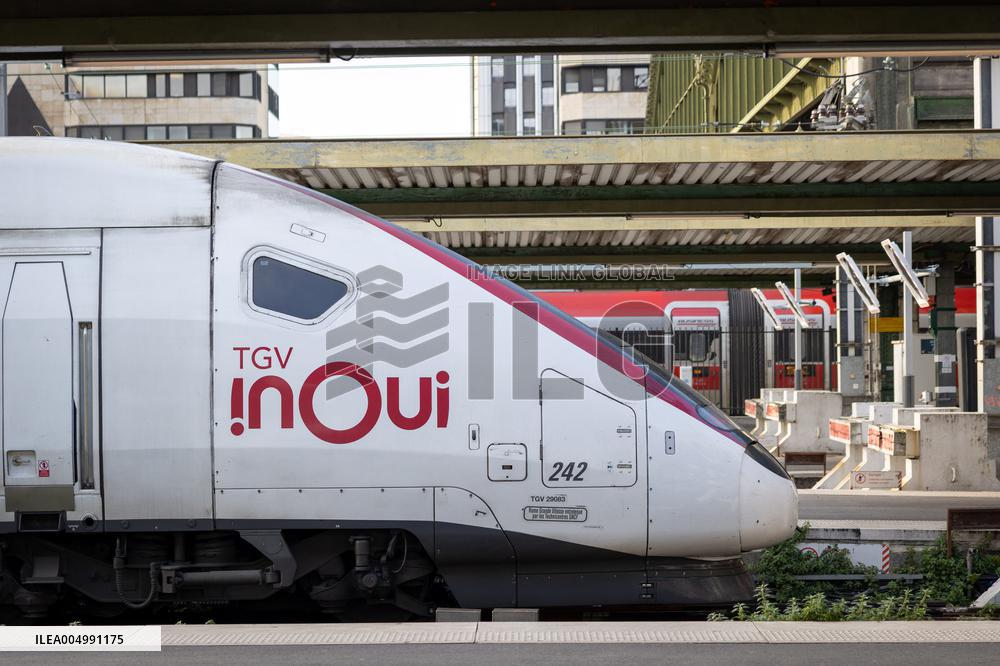 Illustration of the Gare de Lyon during the Christmas holiday departures - Paris AJ
