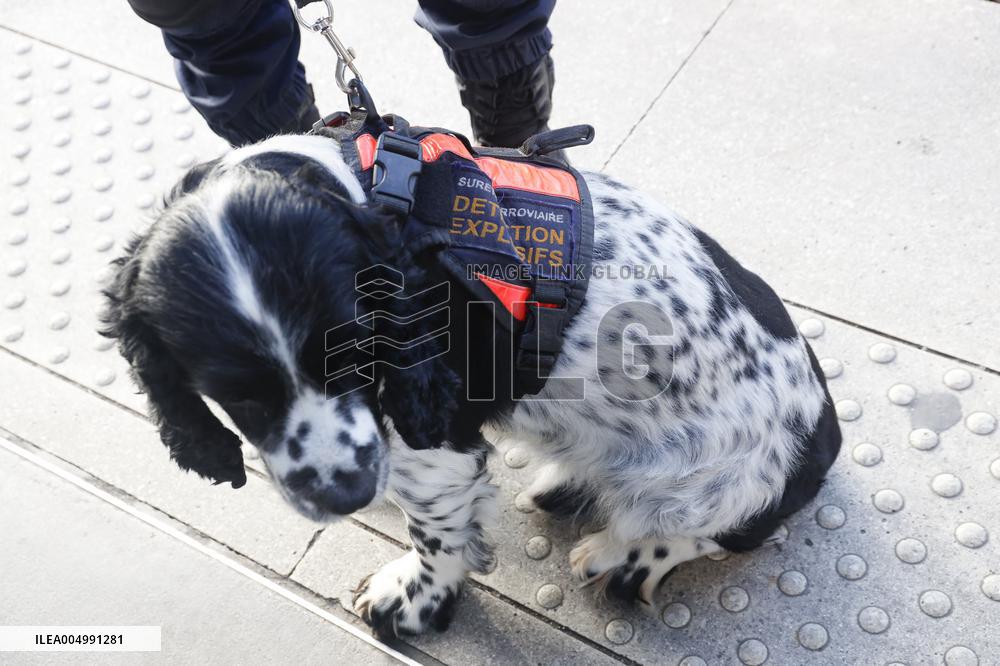SNCF Illustration de la Police Ferroviaire a la Gare de Lyon