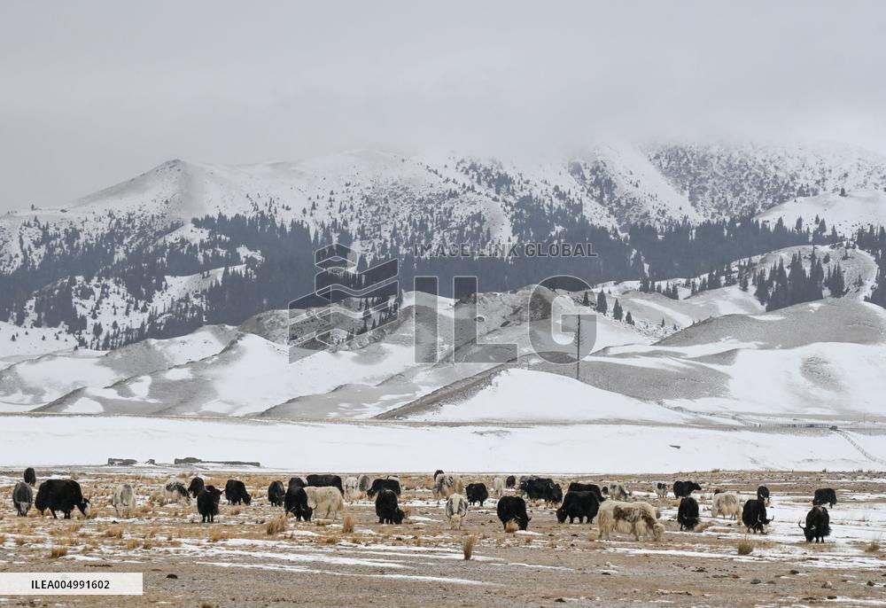Winter Scenery At Sayram Lake - Xinjiang