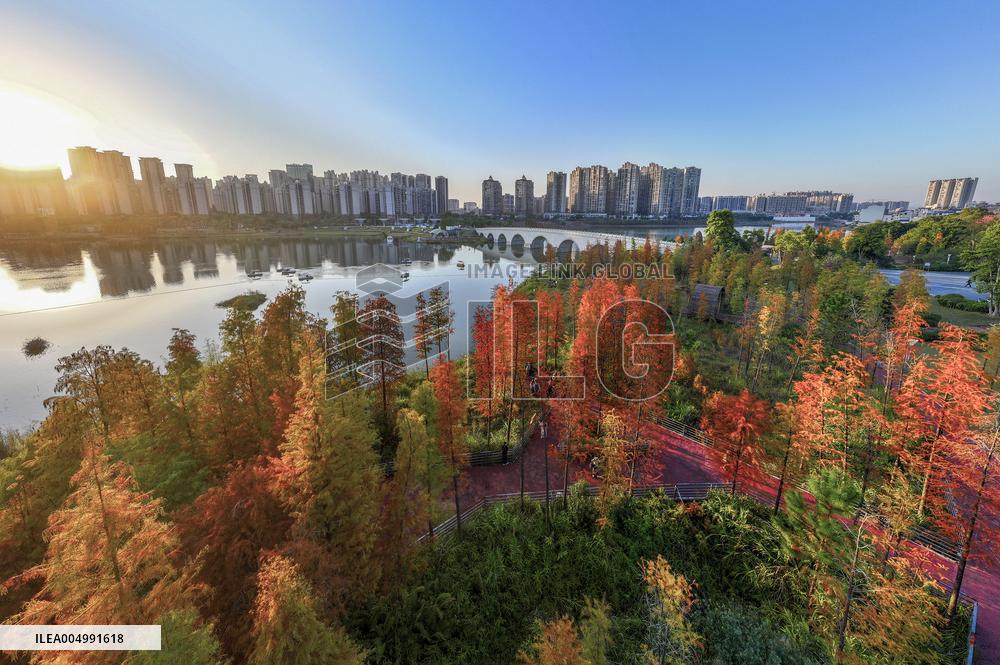 Illustration - Winter Scenery in China