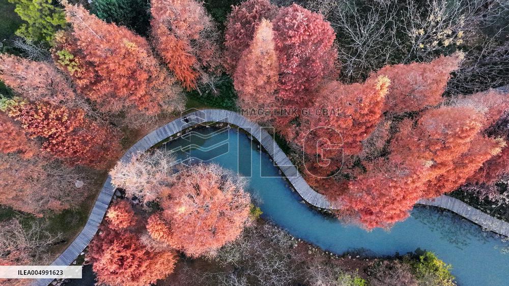 Illustration - Winter Scenery in China