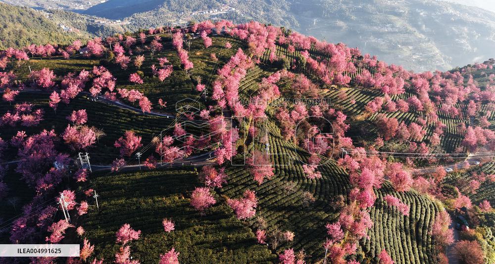 Illustration - Winter Scenery in China