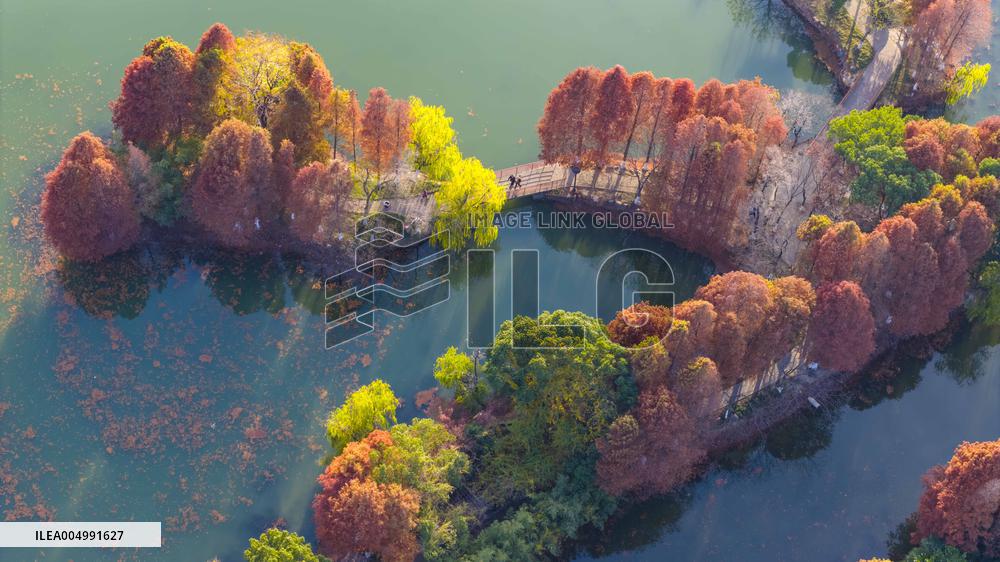 Illustration - Winter Scenery in China