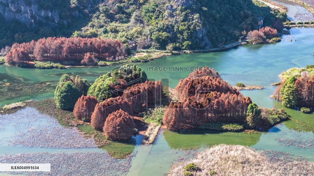 Illustration - Winter Scenery in China