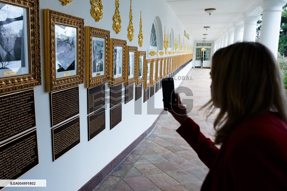 Trump Marijuana Executive Order Signing