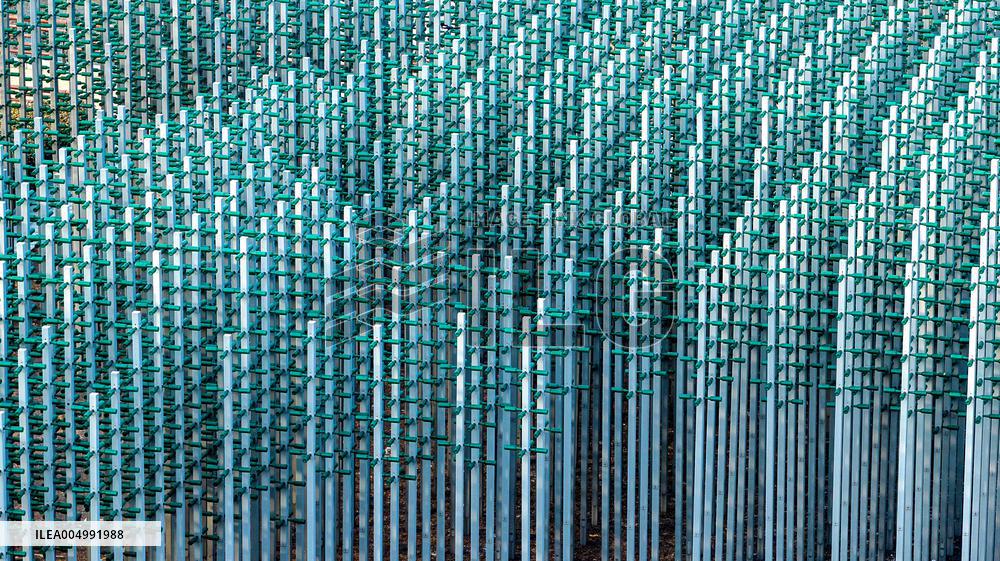 Beer Bottle Forest Scenery in Qingdao