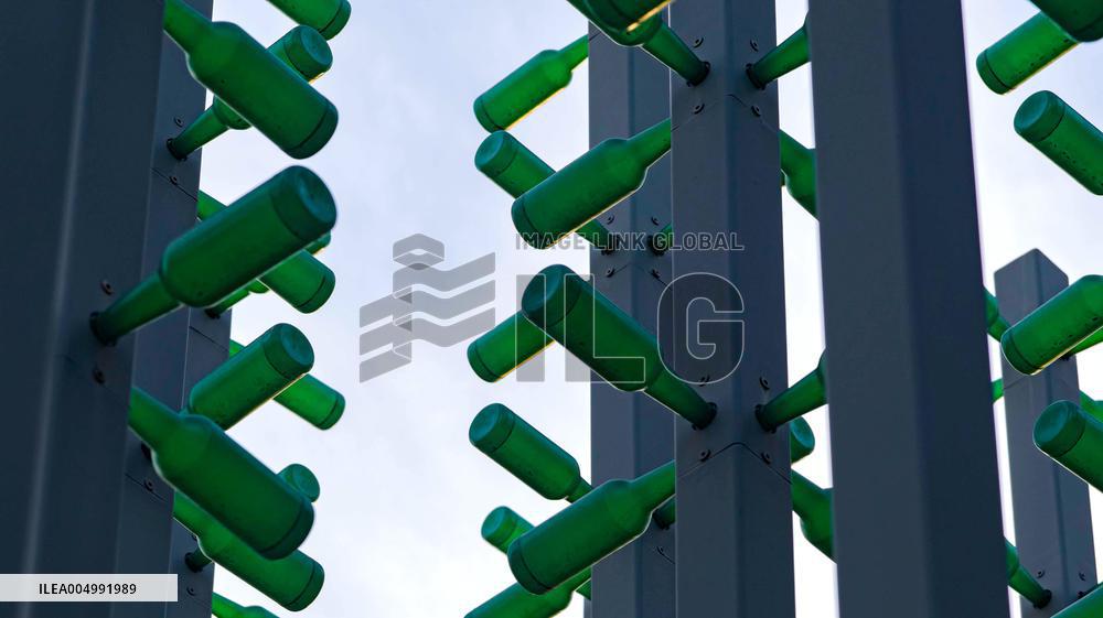 Beer Bottle Forest Scenery in Qingdao