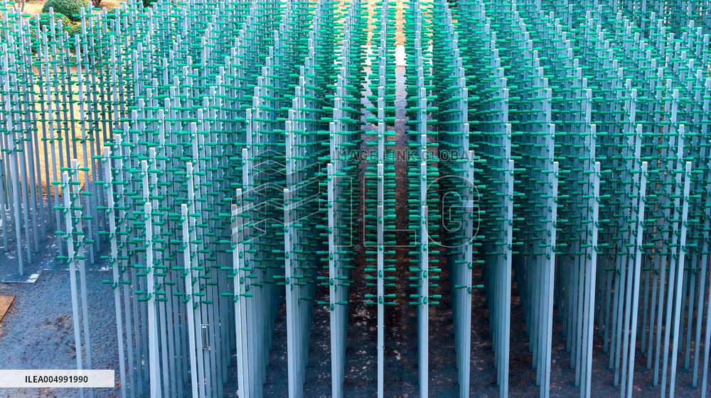 Beer Bottle Forest Scenery in Qingdao