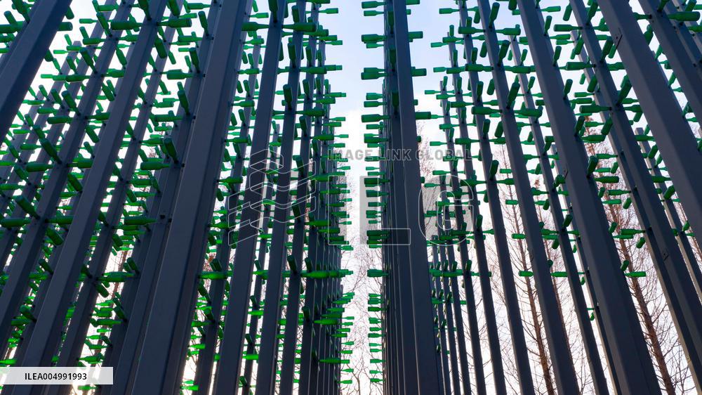 Beer Bottle Forest Scenery in Qingdao