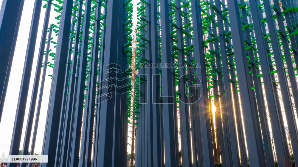 Beer Bottle Forest Scenery in Qingdao