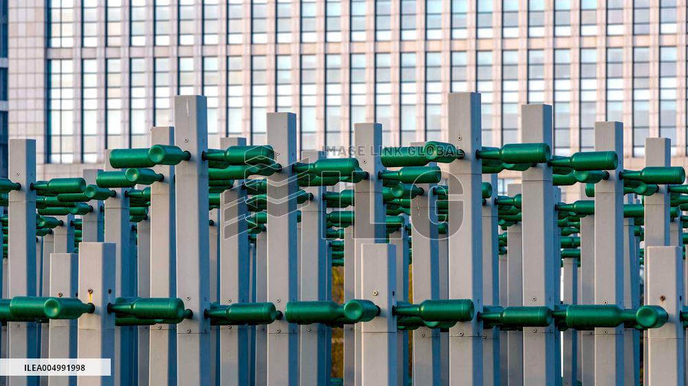 Beer Bottle Forest Scenery in Qingdao
