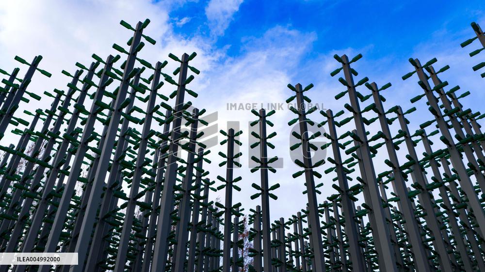 Beer Bottle Forest Scenery in Qingdao