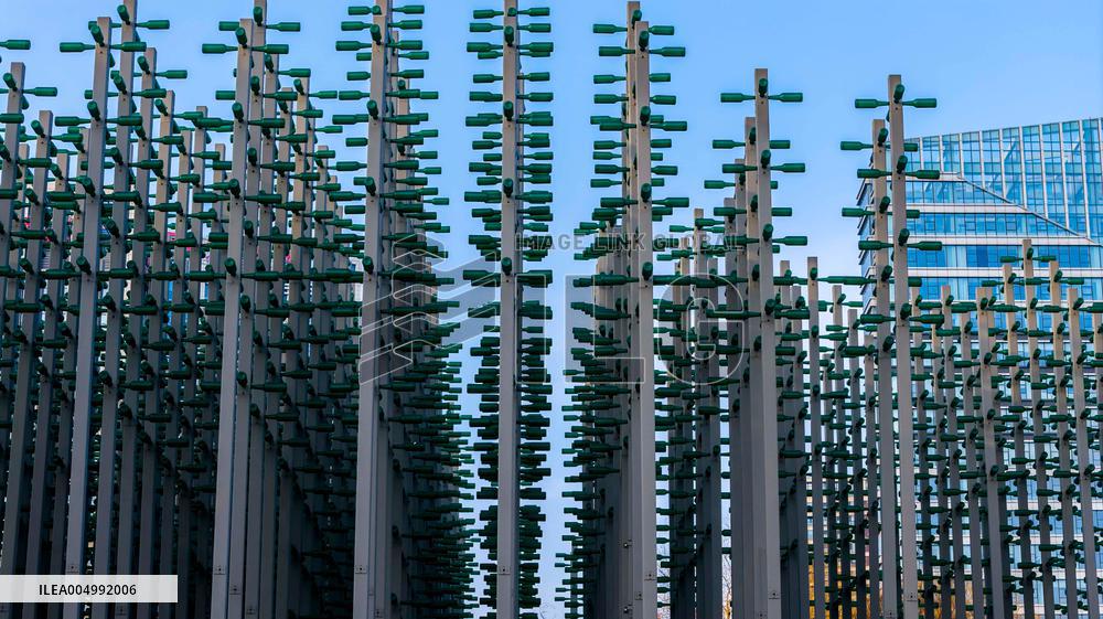 Beer Bottle Forest Scenery in Qingdao