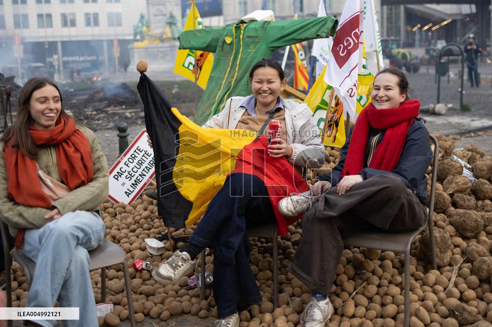 Farmers protest to denounce the reforms of the Common Agricultural Policy - Brussels