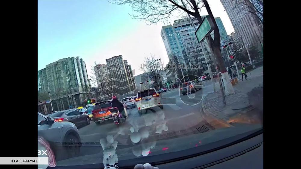 China: Traffic Officer Stops Cars to Help Kitten Cross Road in Qinghai