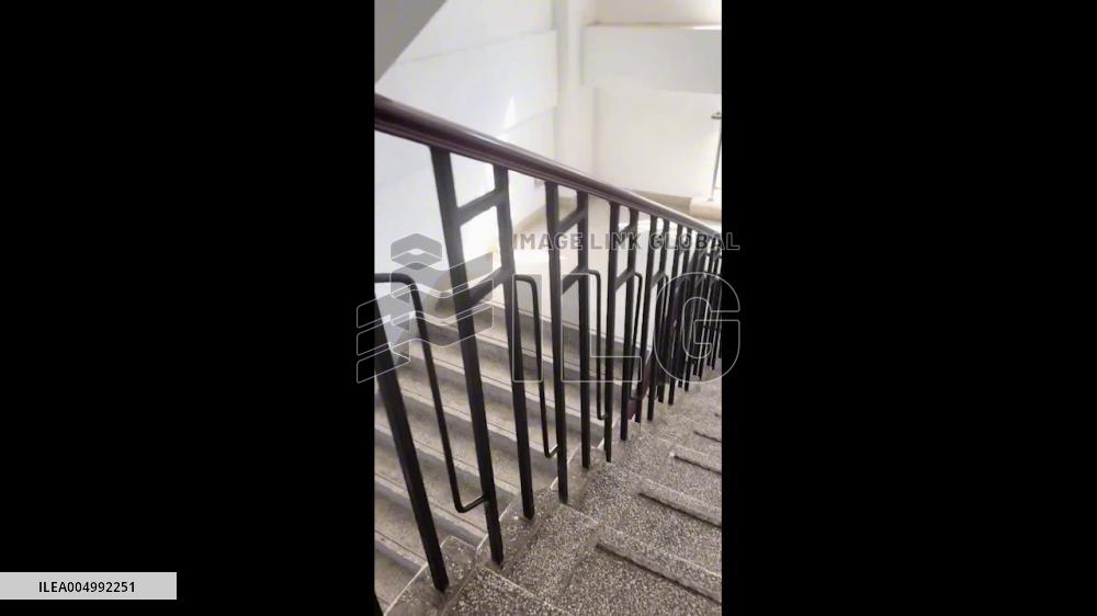 China: Student Surprised by Five Peacocks Standing in “Perfect Line” at School