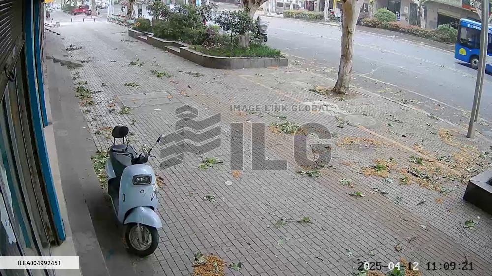 China: Elderly Cyclist Knocked Unconscious by Falling Tree Branch in Hunan