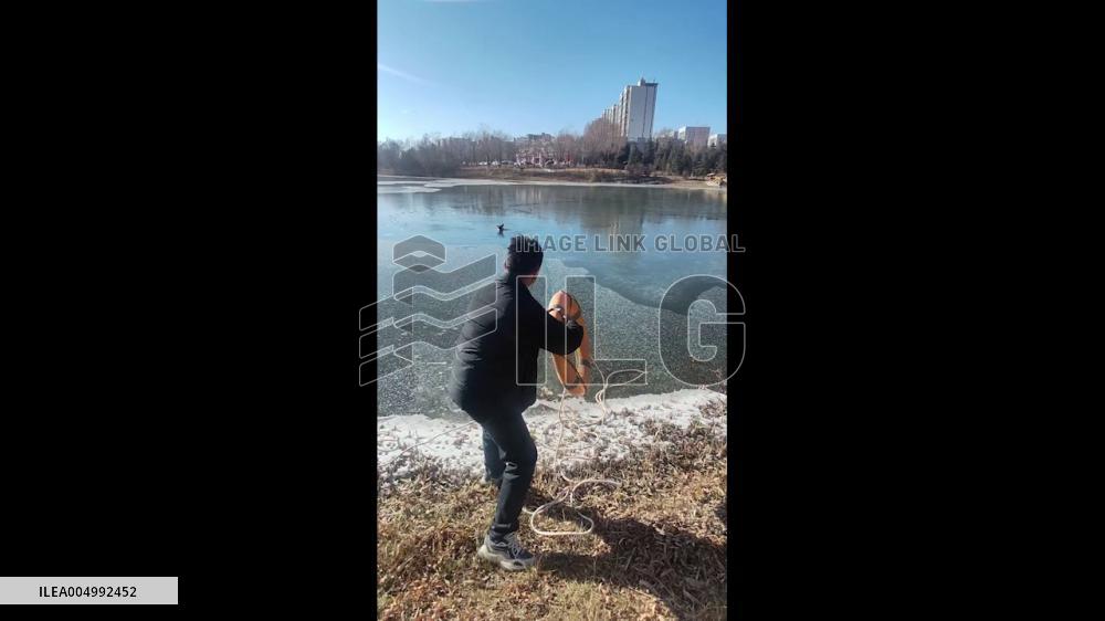 China: Dog Pulled to Safety After Falling Into Freezing Lake in Lanzhou