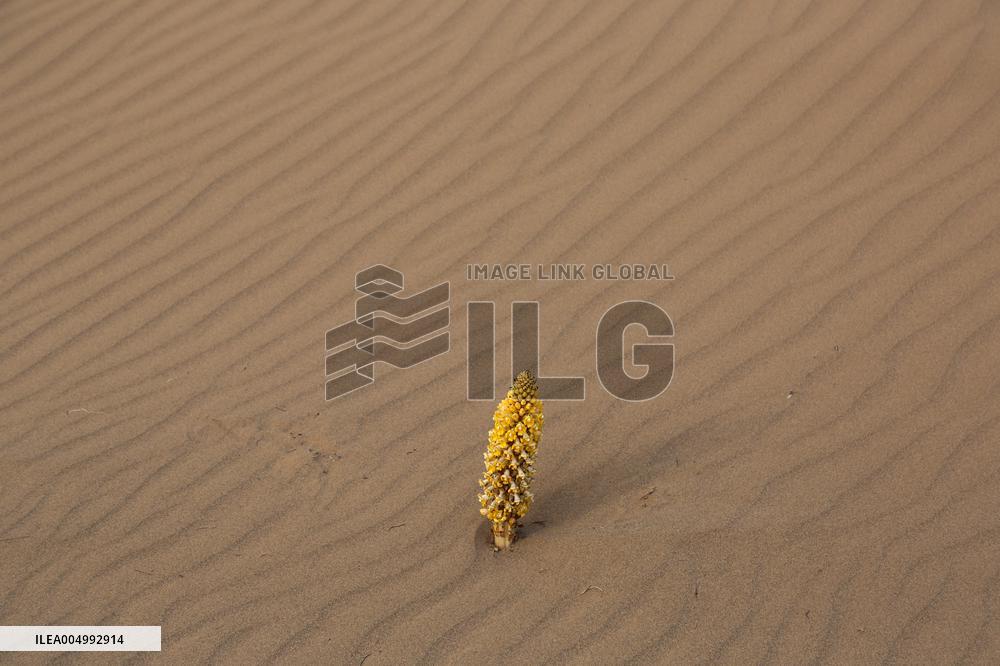 Rezaabad Desert in Semnan - Iran