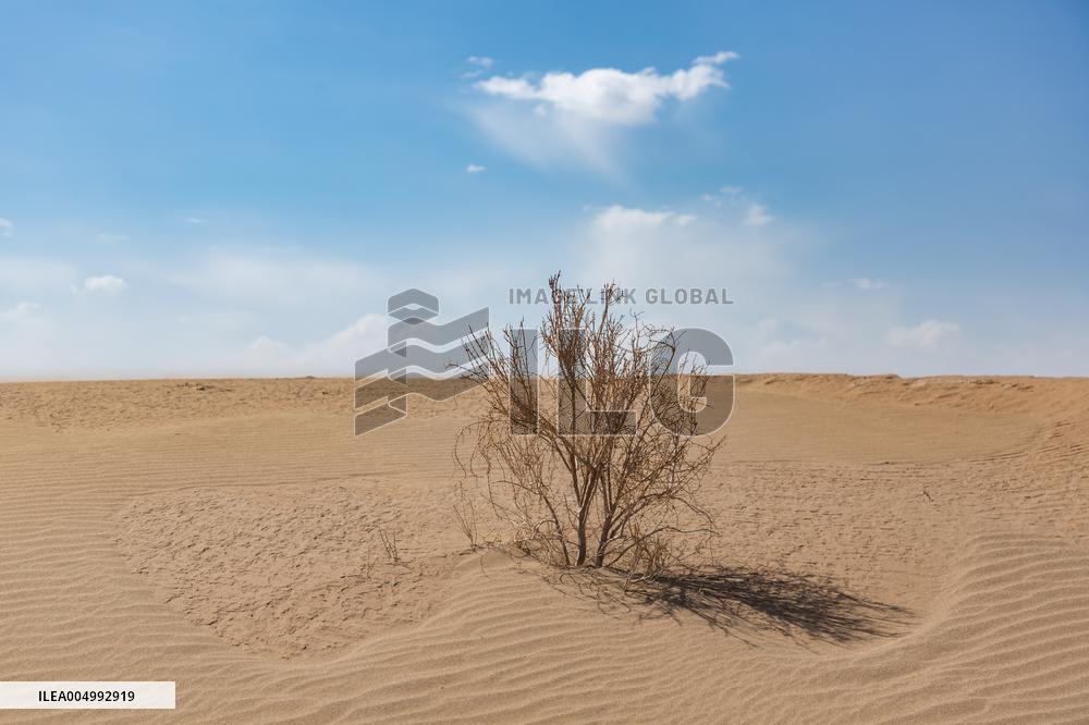 Rezaabad Desert in Semnan - Iran