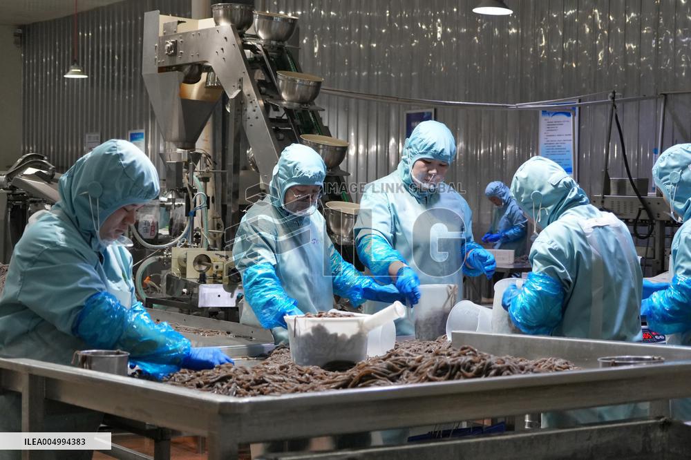 Labor-intensive Enterprises Employment