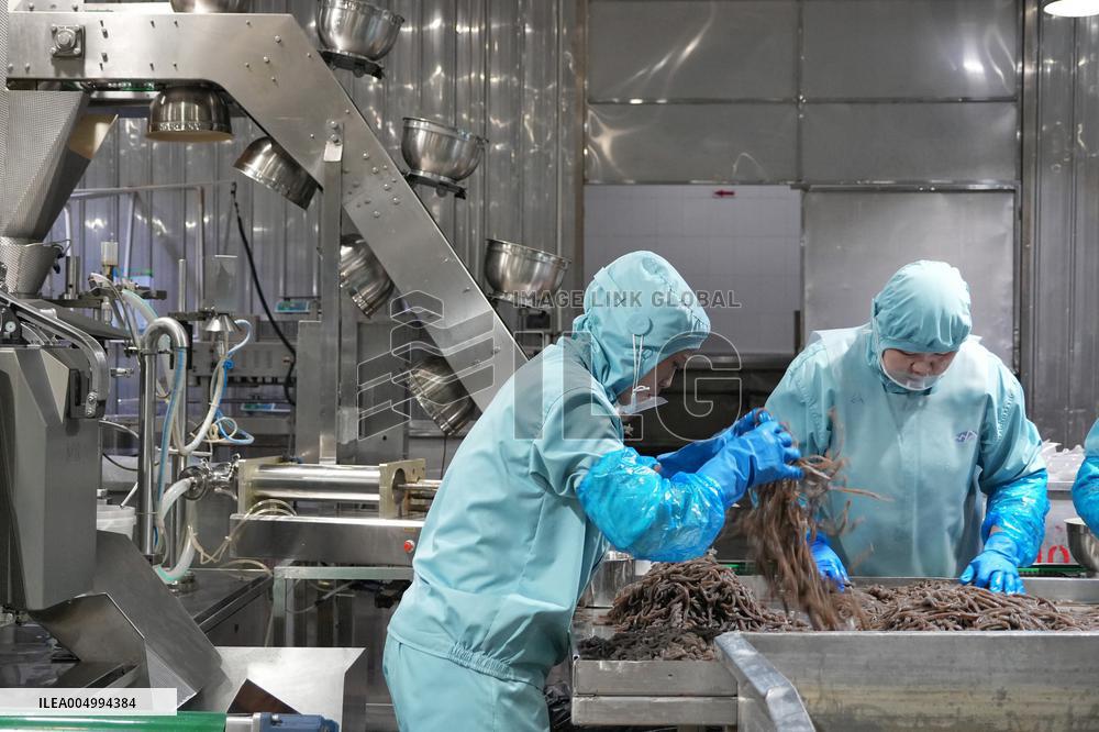 Labor-intensive Enterprises Employment