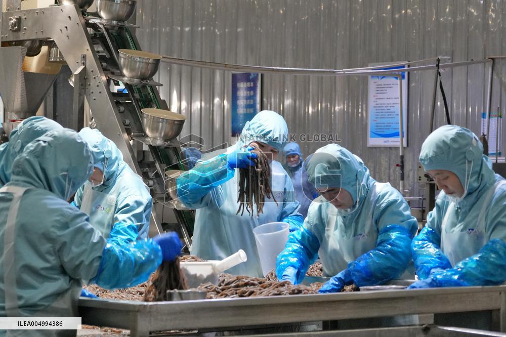 Labor-intensive Enterprises Employment