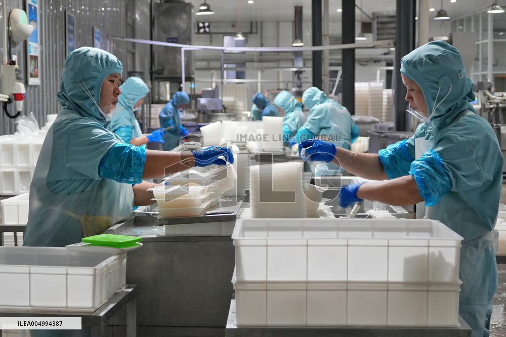 Labor-intensive Enterprises Employment