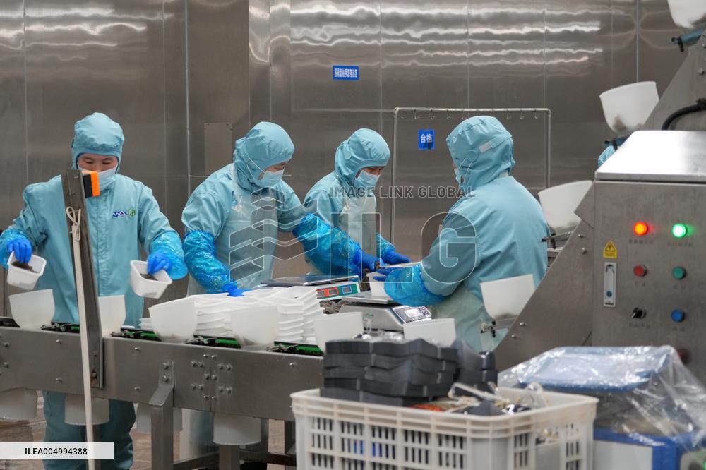 Labor-intensive Enterprises Employment