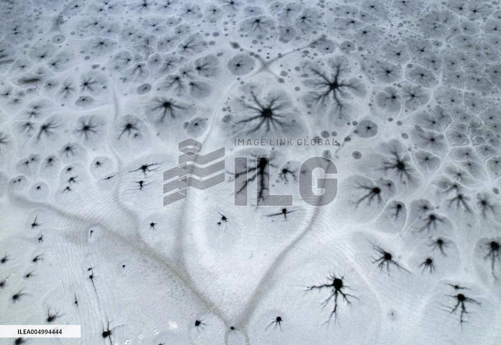ICE FLOWER