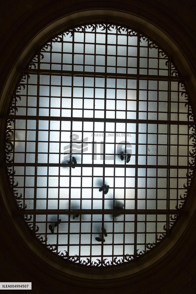 Christophe Ruggia On Trial For Sexual Assault Against Adele Haenel - Paris