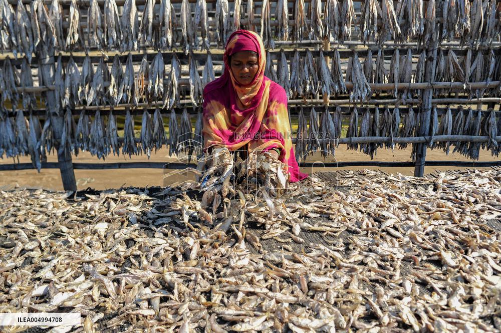 Workers Processing Dried Fish in Chattogram - Bangladesh