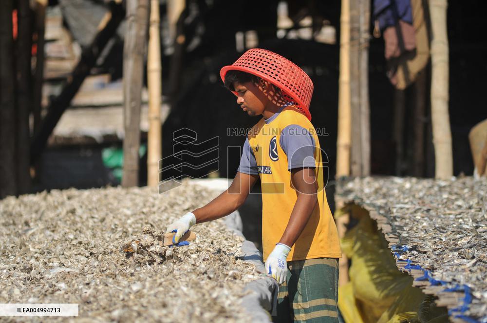 Workers Processing Dried Fish in Chattogram - Bangladesh