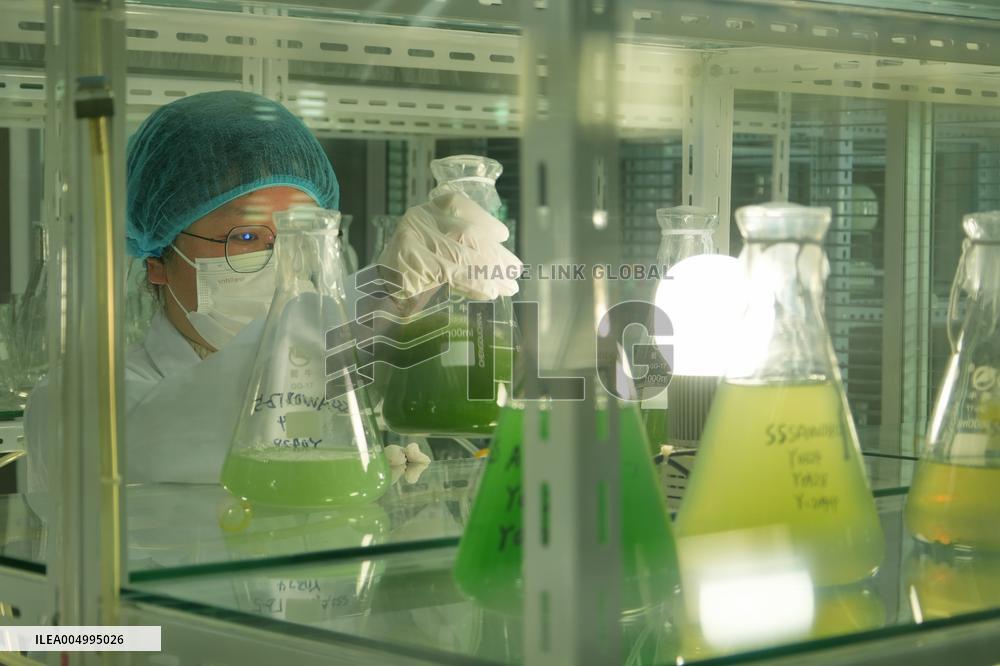 Health Food Industry