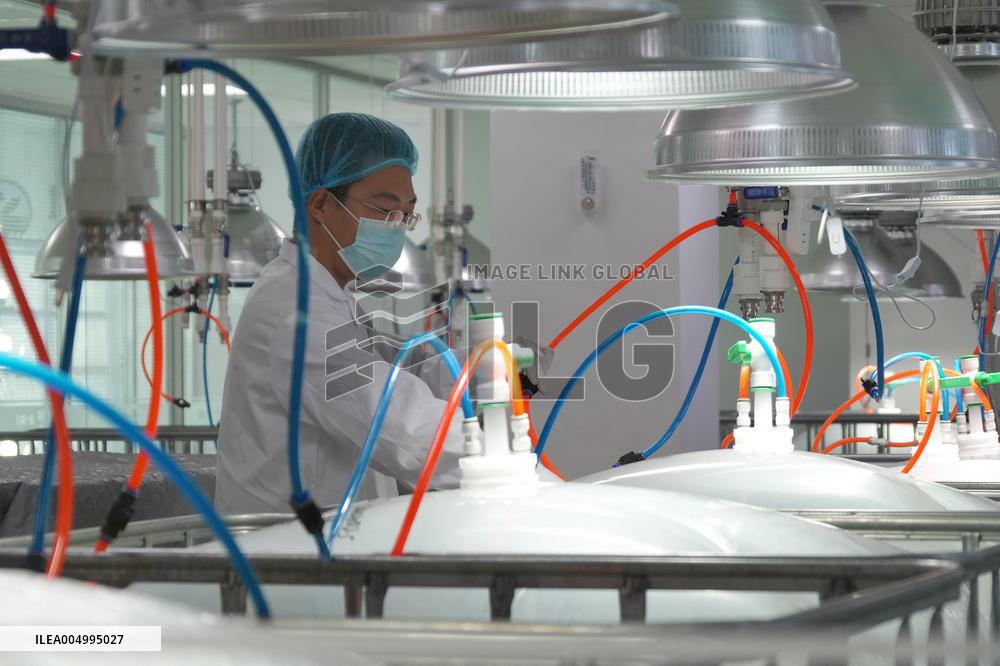 Health Food Industry