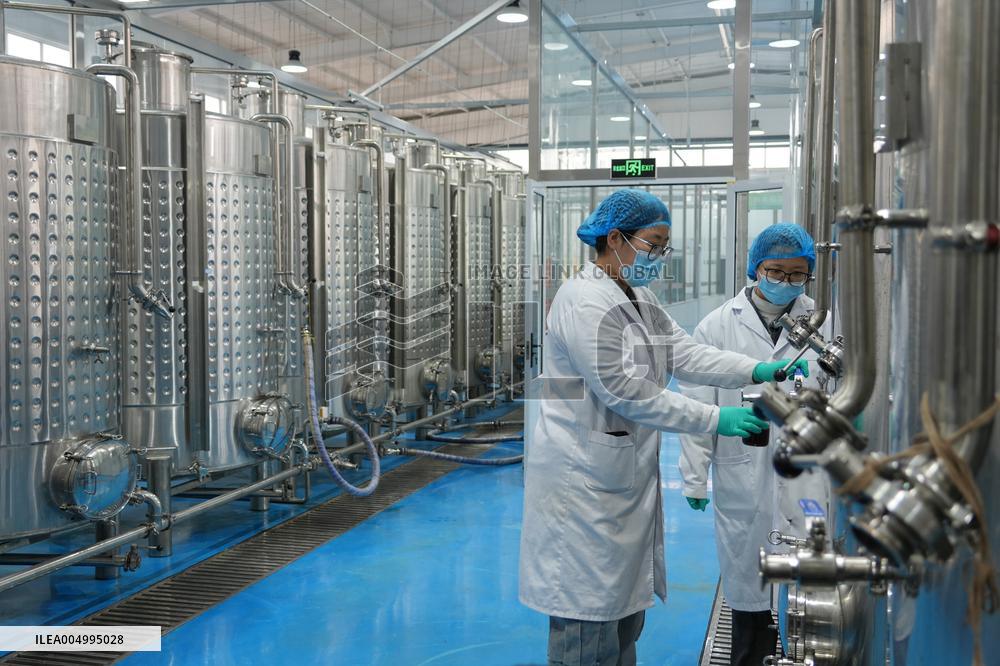 Health Food Industry