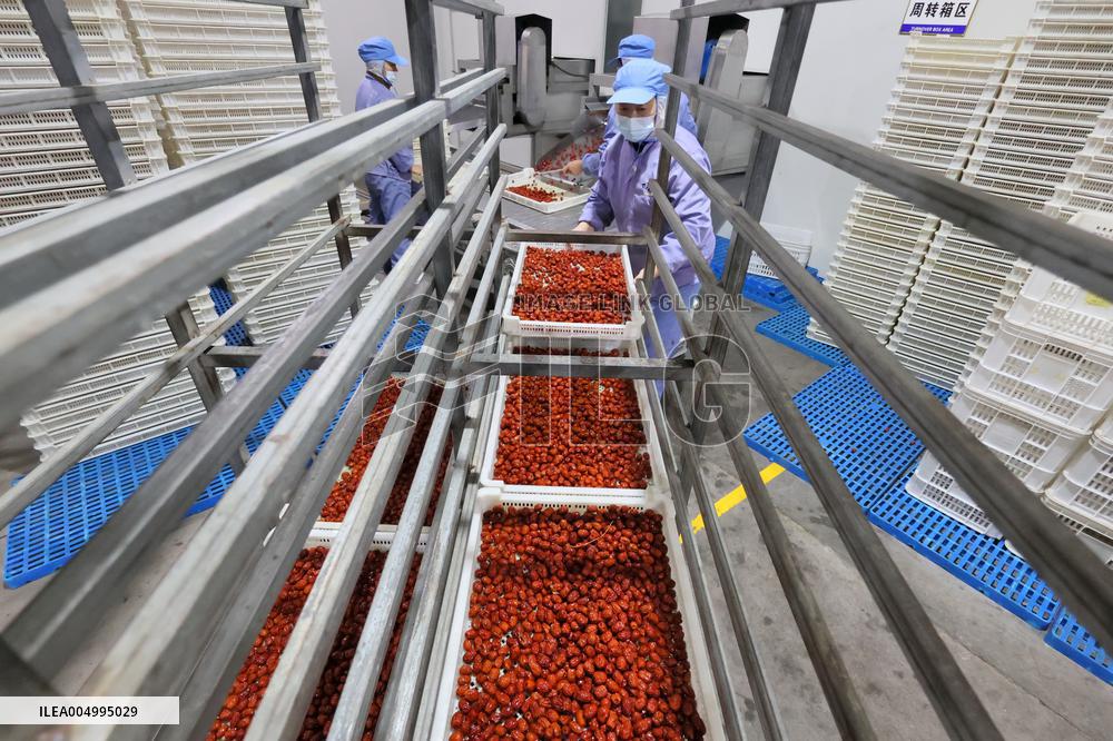 Health Food Industry