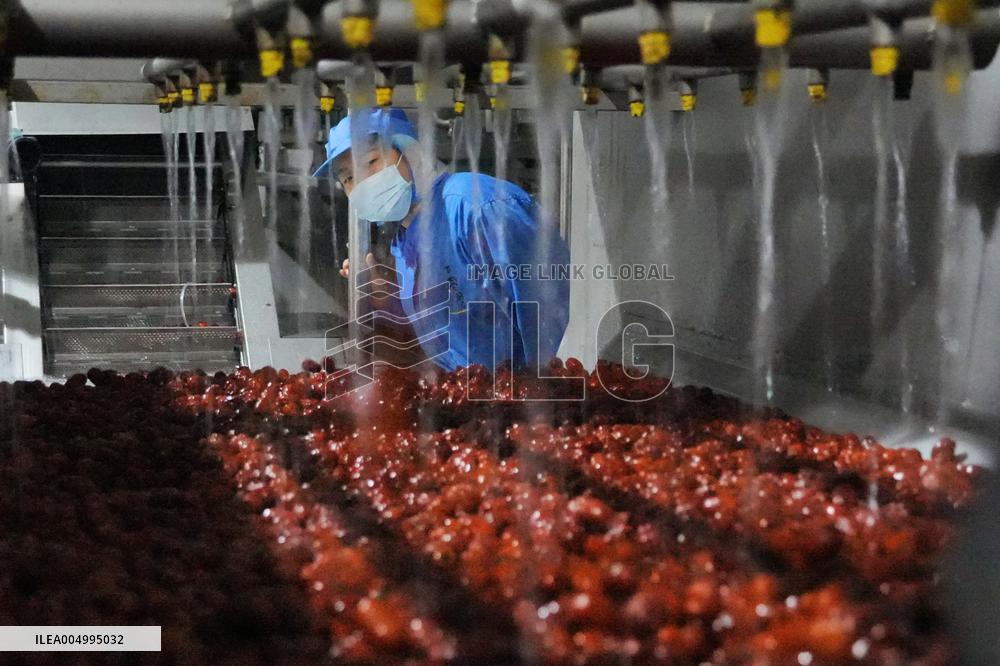 Health Food Industry