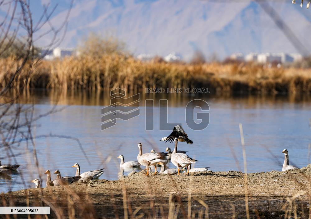 Lhalu Wetland Receives WRCA Certification - China